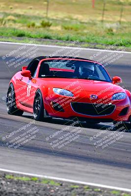 media/Mar-20-2024-Open Track Racing (Wed) [[b71cf400c7]]/Blue Group/Session 2 (Turns 3 and 4a)/